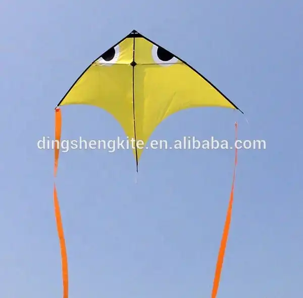 Colorful flying fish kite kids kite