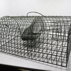 Bẫy Sống Critt'R Catch'R Để Bắt Sóc Sóc Và Chuột - Product Image 6