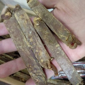 Raíz de Ginseng Rojo de Primera Calidad, Sin Conservantes, Forma Cuadrada, para Tonificar el Cuerpo - Product Image 3