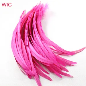 Cheap Wholesale Dyed Fashion Rooster Tail Feather Color Long Cock Chicken Feather für Carnival Costumes