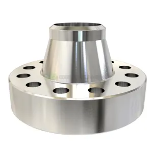 Direct Factory Good Quality CNC Machining Forged Welding Flange Stainless Steel Pipe Fittings Welding Neck Flanges