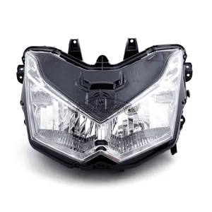 Faro personalizzato OEM racepromottorcycle per Kawasaki Z1000 (2007-2008)