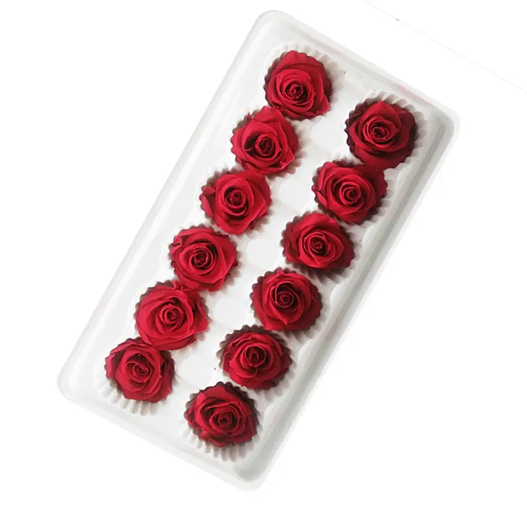Fabulous and Lively Preserved Flower Dried Preserved Roses with Stem