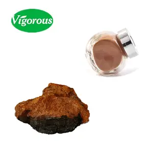 Organico Chaga Fungo Estratto Il 30% Polisaccaride