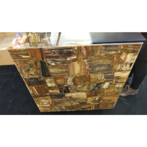 Panneau de revêtement mural pour villa, prix d'usine, dalle de bois pétrifié brun naturel massif, pierre fossile à vendre - Product Image 5