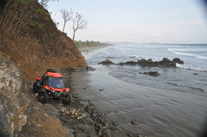 1500cc của nhãn hiệu tranmission <span class=keywords><strong>Chery</strong></span> Động Cơ <span class=keywords><strong>go</strong></span> <span class=keywords><strong>kart</strong></span> - Product Image 4