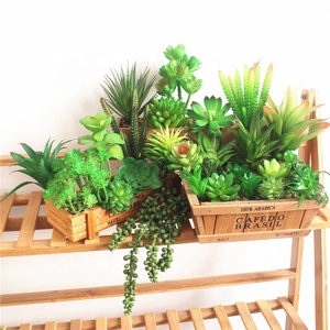 D1075 Mini Pianta Artificiale in Vaso Succulenta all'Ingrosso - Product Image 5