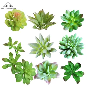 Assortiment de fausses plantes succulentes artificielles, non en pot, 8 paquets, offre spéciale