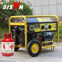BISON (중국) 절강 가스 시리즈 홈 가스 발전기 바이오 가스 발전기 가격 자연 가스 발전기