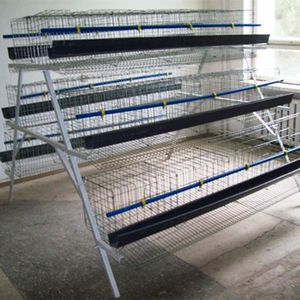 Jaulas Para Gallinas Ponedoras - Product Image 4