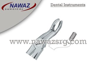 Dent extraction forceps Fig67 Top meilleure qualité Logo personnalisé produits Instruments dentaires en acier inoxydable de haute qualité - Product Image 2