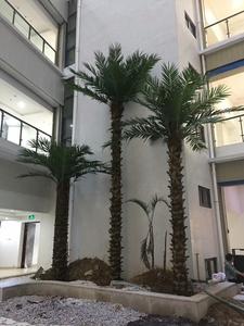 Trung Quốc Sản Xuất Ngoài Trời Và Trong Nhà Trang Trí Fake Cao Lớn Cây Cọ Cây Nhân Tạo Washington Robusta Fan Cây Cọ - Product Image 4