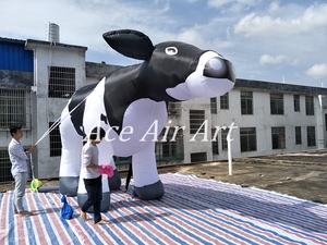Hermoso modelo de globo inflable de vacas lecheras holandesas de 5m de largo y 3m de altura fabricado en China para publicidad de fiestas y eventos - Product Image 4