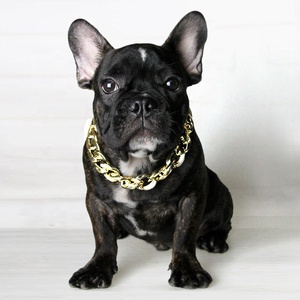 Collier de <span class=keywords><strong>chien</strong></span> charmant et cool en plastique plaqué or, collier de chaîne de luxe, accessoires pour animaux de compagnie, collier pour chiens et chats, vente en gros - Product Image 1