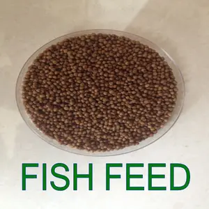 Floating Fish Feed 36% Protein