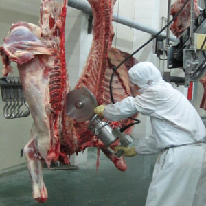 Ternak Pembantaian Peralatan dengan Daging Sapi Menyembunyikan Penarik untuk Halal Rumah Potong Abattoir Line - Product Image 1