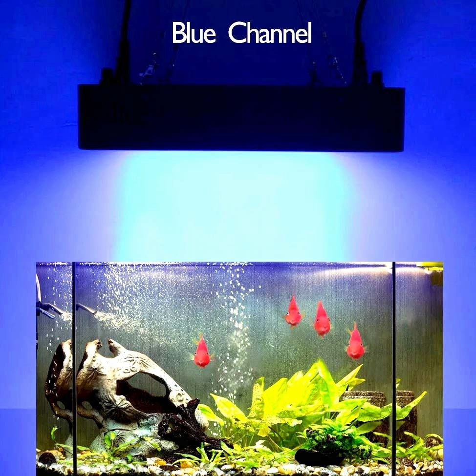 165W LED Aquarium Lights - Efficient Coral Reef Solutions