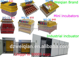 <span class=keywords><strong>abreuvoir</strong></span> de <span class=keywords><strong>poule</strong></span> de différent capacité en cote d'ivoire WQ-12 - Product Image 4