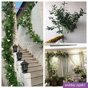 LLV107 banchetto di nozze occasione conserve di plastica argento ramo verde oliva all'ingrosso - Product Image 2