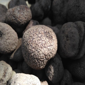 Detan <span class=keywords><strong>salvaje</strong></span> venta negro <span class=keywords><strong>trufa</strong></span> fresca - Product Image 2
