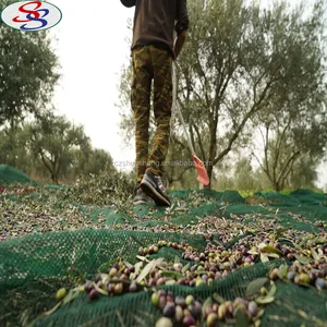 Оливковая сеть hdpe для захвата урожая