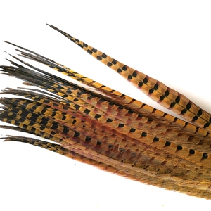 Bán buôn yjxfeather Brazil carnival trang trí 50-55 cm lông Ringneck Trĩ - Product Image 6