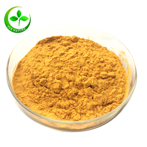 Nhà máy cung cấp 10% 20% cây hắc mai biển chiết xuất bột <span class=keywords><strong>flavones</strong></span> - Product Image 1