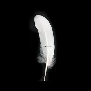 HP-35 4-6 inch sell dyed white duck Speculum Feather