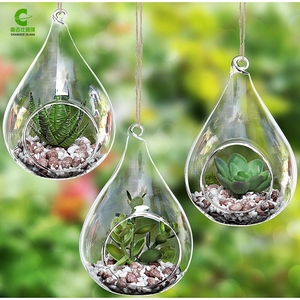 En gros Soufflé À la main En Forme De Larme Terrarium En Verre Suspendu - Product Image 2