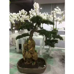 Bán Buôn 60Cm Chiều Cao Nhân Tạo Bonsai Cây Christmas Cây Thông, Nhỏ Trong Nhà Màu Xanh Lá Cây Thông Cây Nhân Tạo Cho Bán