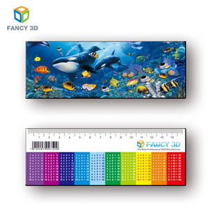 Règle parallèle imprimable en plastique, règle 3D claire, produit de vente en gros, Design personnalisé - Product Image 1