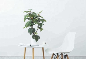 Alta calidad realista interior al aire libre medio tamaño decorativo tela de plástico plantas árbol artificial - Product Image 2