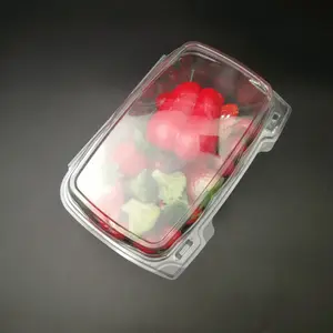 Plastik PLA Portabel Plastik Blister Buah Sayuran Berry Strawberry Blueberry Kemasan Clamshell
