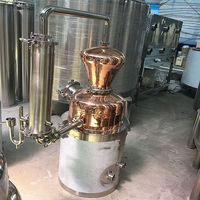 Équipement de distillateur d'alcool domestique, petite colonne de Distillation pour éthanol