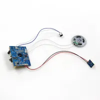 Customized switch motion activated sound module for greeting card