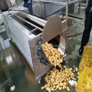 Zenzero peeling macchina/cipolla peeling macchina della patata/patata peeling macchina