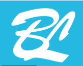 Yiwu Baoli Business Co., Ltd. logo