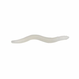YOUME-señuelo suave de gusanos rojos, gusanos de tierra, 4cm, 500g, gusanos de pesca, trucha, señuelo de pesca Artificial, 0,19g por paquete - Product Image 3