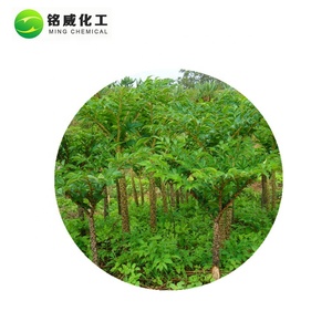 Pur Naturel Poudre De Glucomannane De <span class=keywords><strong>Konjac</strong></span> Extrait De Racine De <span class=keywords><strong>Konjac</strong></span> Fournisseur - Product Image 3