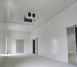 Storage Freezer Quick-freezing Cold Storage PU Insulated Panel For Freezer Room