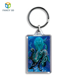 Ferocity Un Perfetto Regalo Portachiavi per Bambini con Nome Personalizzato Individualo Regalo Stampa 3D Decorazioni per Zaino, Borsa, Astuccio [122