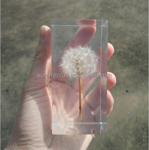 Özel şekil gerçek karahindiba küre şeffaf reçine döküm <span class=keywords><strong>paperweight</strong></span> - Product Image 4