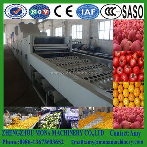 Máquina Profesional para Clasificar Cítricos | Máquina de Encerado para Cítricos y Manzanas | Máquina para Levantar, Limpiar y Secar Frutas - Product Image 5