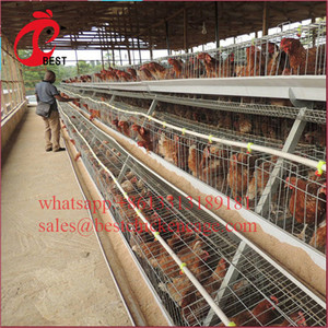 Di vendita caldo del metallo gabbia di polli da carne farm pollo di allevamento coop con ottimo prezzo - Product Image 5