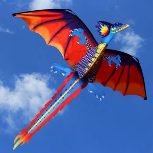 buy wholesale single line dragon kite for outdoor fun with