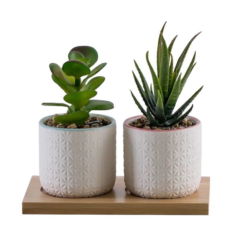 Juego de 2 plantas suculentas artificiales decorativas, elegantes y realistas, en maceta de cerámica con soporte de bambú, venta al por mayor