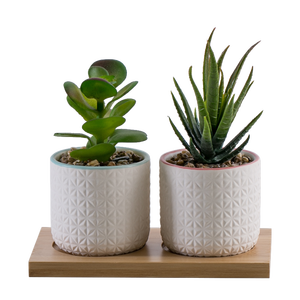 Conjunto de 2 plantas suculentas artificiais, conjunto decorativo elegante e realista em vaso de cerâmica com suporte de bambu