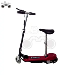 8.5 inch 24V 120W men's beach electric scooter