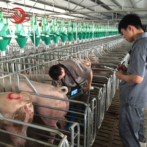 Lợn Trang Trại Thiết Bị Gieo Thai Thùng, Sow Gian Hàng, Sow Thùng - Product Image 3