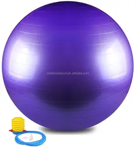 Wells how Sport Übung Yoga Ball Ganzkörper Balance Pilates Ball von zu Hause